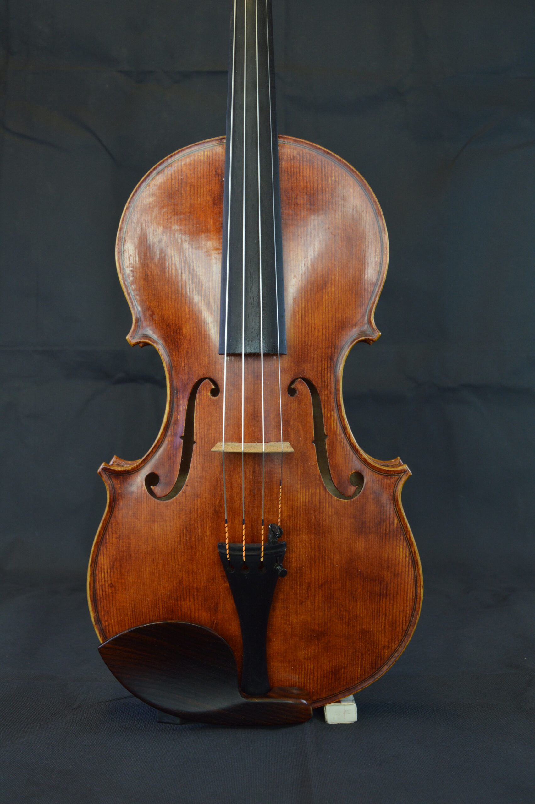 Viola, Personal Model 39.5cm - front, full body