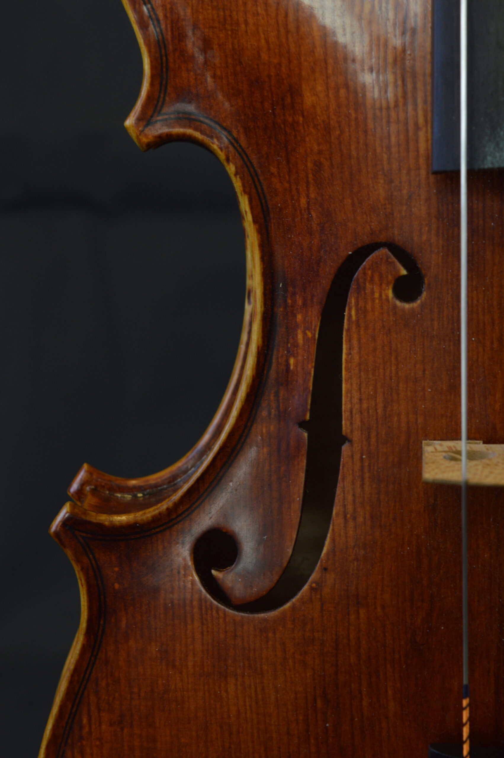 Viola, Personal Model 39.5cm - f-hole and bridge, angle 2