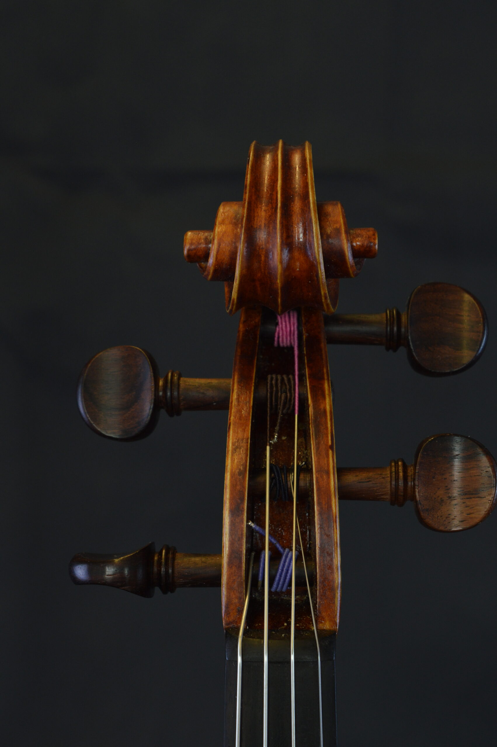 Viola, Personal Model 39.5cm - scroll and pegbox