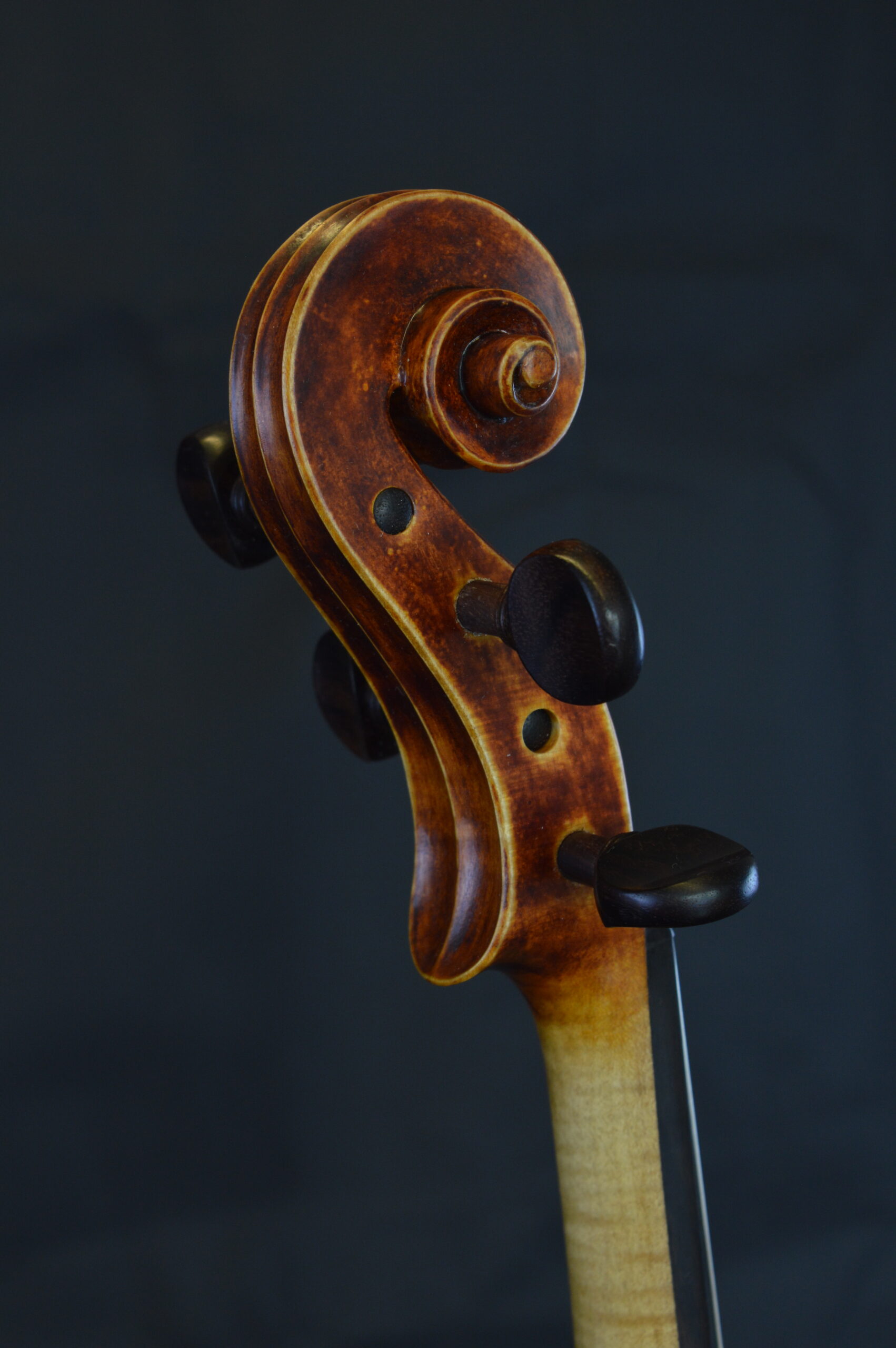 Viola, Personal Model - photo 3