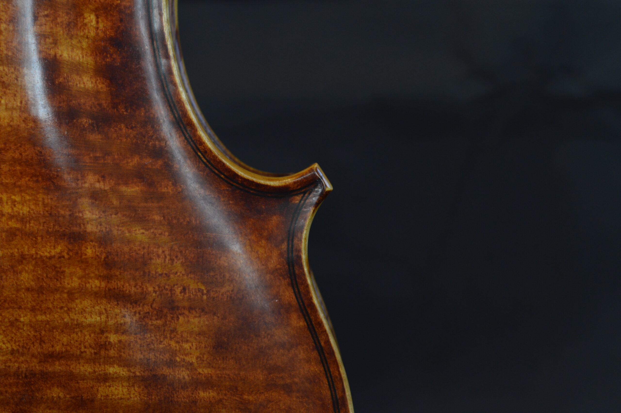 Viola, Personal Model 39.5cm - f-hole and bridge