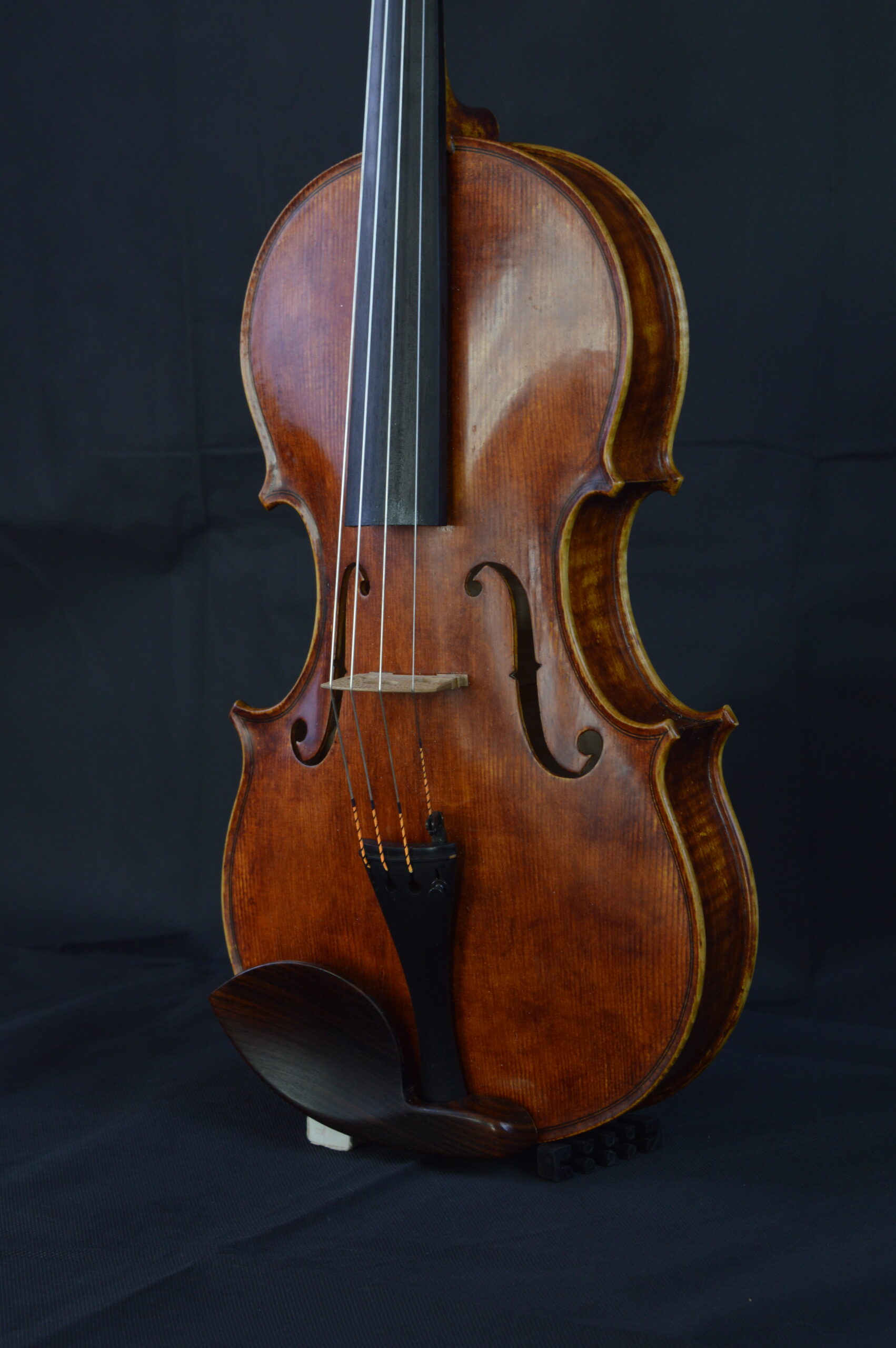 Viola, Personal Model - photo 2