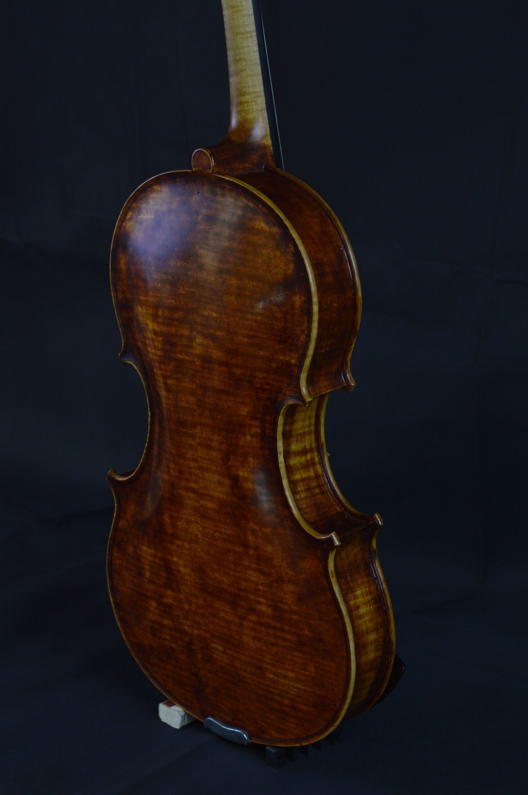 Viola, Personal Model - photo 1